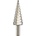 Graphite 54T303