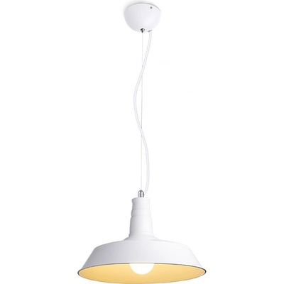 Rendl R11691