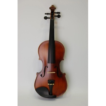 Image 1 of Winzz Цигулка vg102 4/4 (vg102)