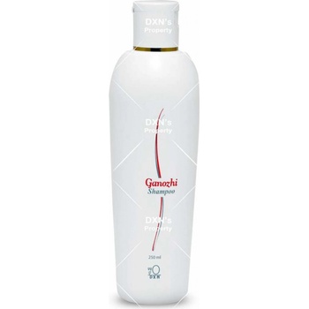 DXN Ganozhi šampon 250 ml