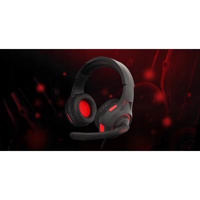 Genesis RADON 210