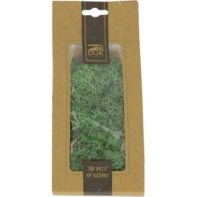 MOSS REINDEER NATURE 40GR 10X4X22CM
