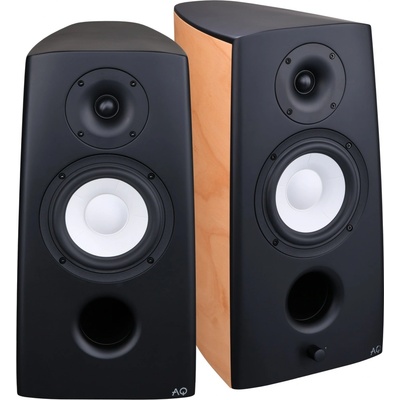 Acoustique Quality Canto 3