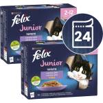 FELIX Fantastic Junior вкусен избор 24 x 85 г