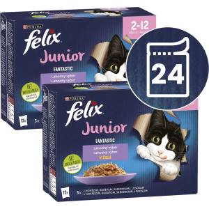 FELIX Fantastic Junior вкусен избор 24 x 85 г