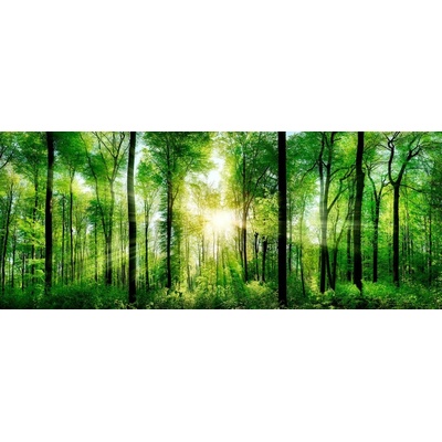 Sklenený obraz Sunlight, 50 × 125 cm, EX121