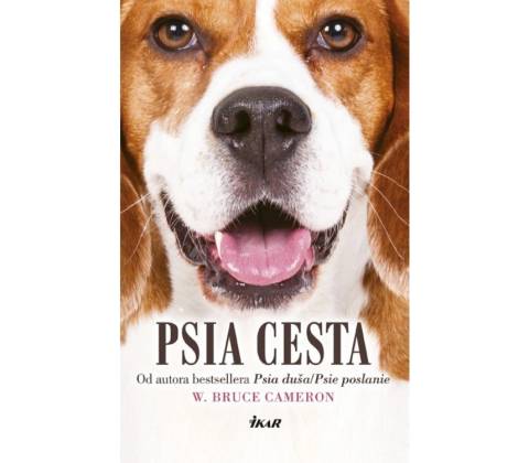 Psia cesta