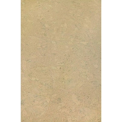 Amorim Wicanders Wise Cork Inspire Shell marfim 80003484 1.91 m²