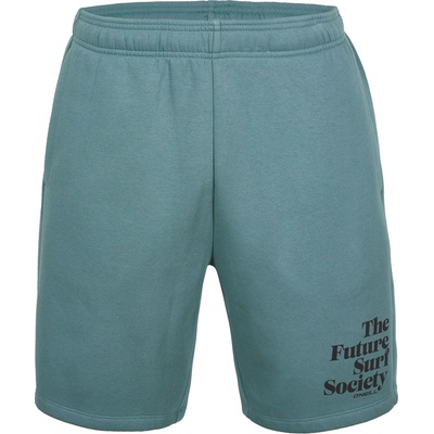 O'Neill Future surf short m