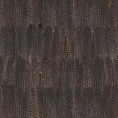 d-c-fix 200-3183 samolepící tapety Samolepící fólie peří Dano 45 cm x 15 m