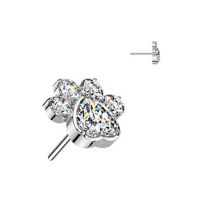 Šperky4U Ozdobná část k PUSH IN piercingu TITAN TIT1658