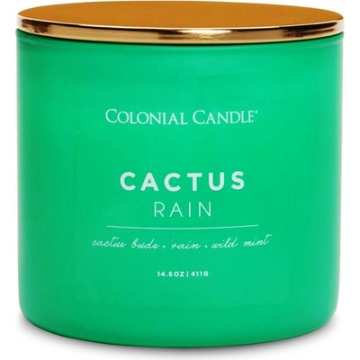 Colonial Candle Cactus Rain 411 g