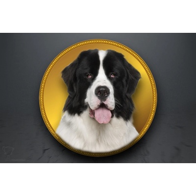 Emblém Landseer GL376/GL376_25 – Zboží Dáma