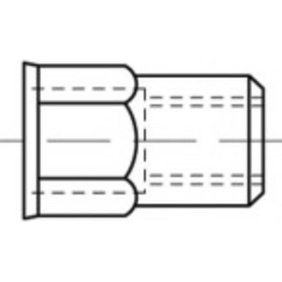 TOOLCRAFT TO-5380605 slepá nitovacie matice M8 nerezová ocel 250 ks