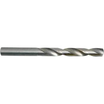 FESTA 119951