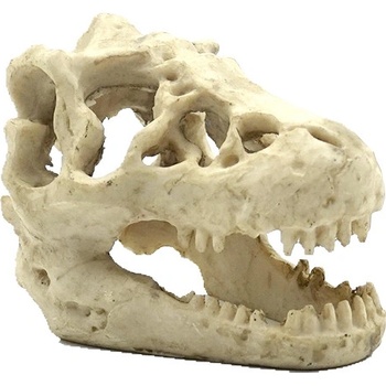 Reptile Nova Lebka T-Rex malá 16x11x9 cm
