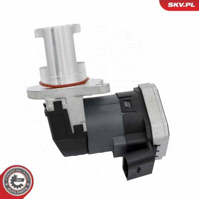 AGR - Ventil ESEN SKV 14SKV308