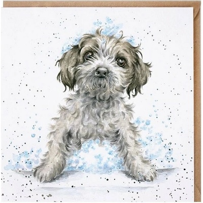 Wrendale Designs Přání Wrendale Designs "Bubbles and Barks ", 15x15 cm - Pes, štěně v bublinkách