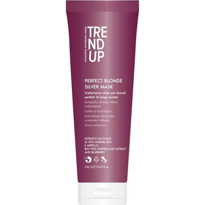 Trend up Silver Maska 250 ml