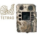 Tetrao Strix 18