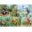 House of Puzzles - Puzzle Nature Study XXL - 250 piese