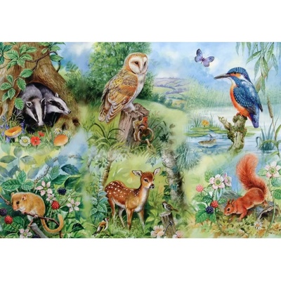 House of Puzzles - Puzzle Nature Study XXL - 250 piese