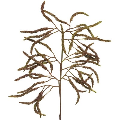 Lístka - Coryllus spray růžová V61 cm