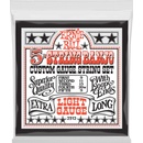 ERNIE BALL 2312