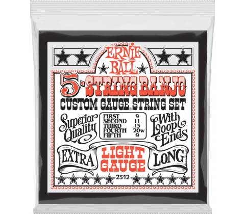 ERNIE BALL 2312