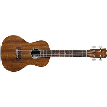 Cordoba 20CM