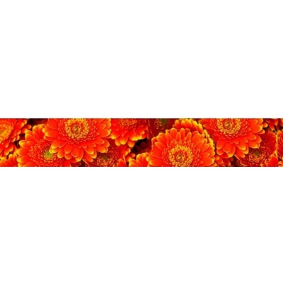KI-350-059 Fototapeta do kuchyně Gerbera rozměry 350 x 60 cm