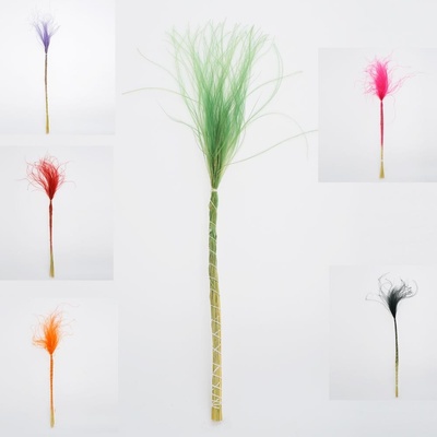 Stypha - pierko MIX farba /zv 50cm