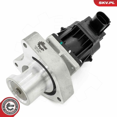 AGR - Ventil ESEN SKV 14SKV254