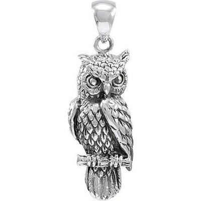 Fantasy Šperky SOVA stříbrný talisman MJW218