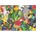 Educa - Puzzle Parrots 500 - 500 piese