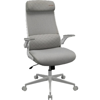 COUGAR COUGAR Stryder White Gaming Chair (CGR-STD-ASW)