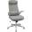 COUGAR COUGAR Stryder White Gaming Chair (CGR-STD-ASW)