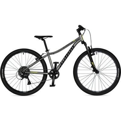 AUTHOR A-MATRIX 29 DISC 2026