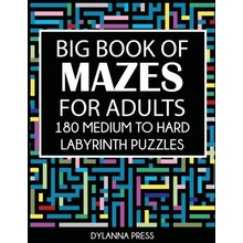 Big Book of Mazes for Adults