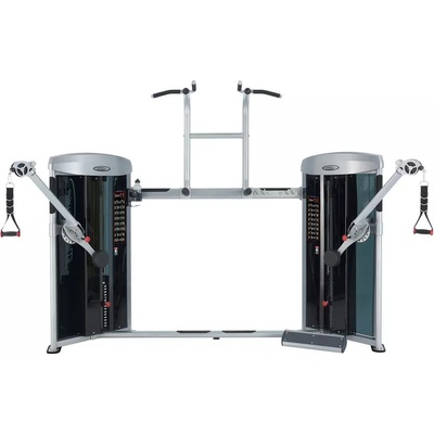 Steelflex Mega Power MDC2000 Dual Cable Column And Chin Up/Dip