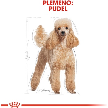 Royal Canin Poodle Adult 7,5 kg