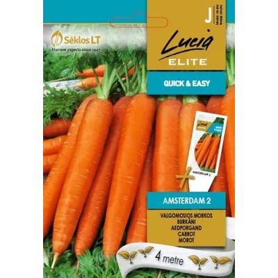 Seklos Моркови на Лента сорт Амстердам 2 Amsterdam