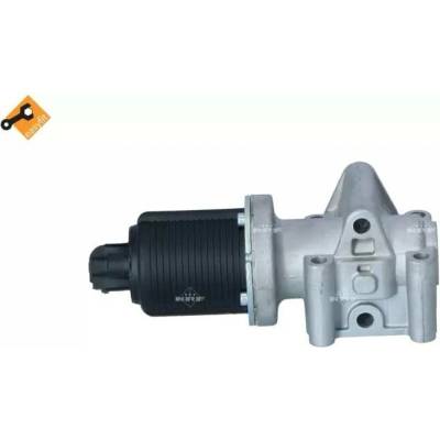 NRF AGR ventil EASY FIT NRF 48326