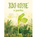 Kdo roste v parku?