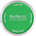 PanPastel Artists’ Сух пастел 640.5 Permanent Green 1 бр (8026405-1)