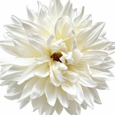 Umelá dália biela 14 cm