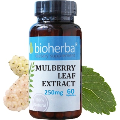Bioherba Mulberry Leaf Extract 250 mg [60 капсули]