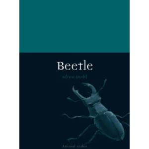 Beetle | Adam Dodd (ISBN: 9781780234885)