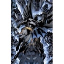 Absolute All Star Batman and Robin the Boy Wonder