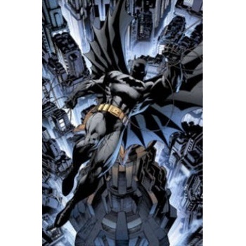 Absolute All Star Batman and Robin the Boy Wonder